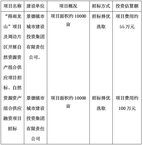 景德鎮市“得雨龍山”項目及周邊片區開展自然資源資產組合供應項目、自然資源資產組合供應融資項目招標計劃公告